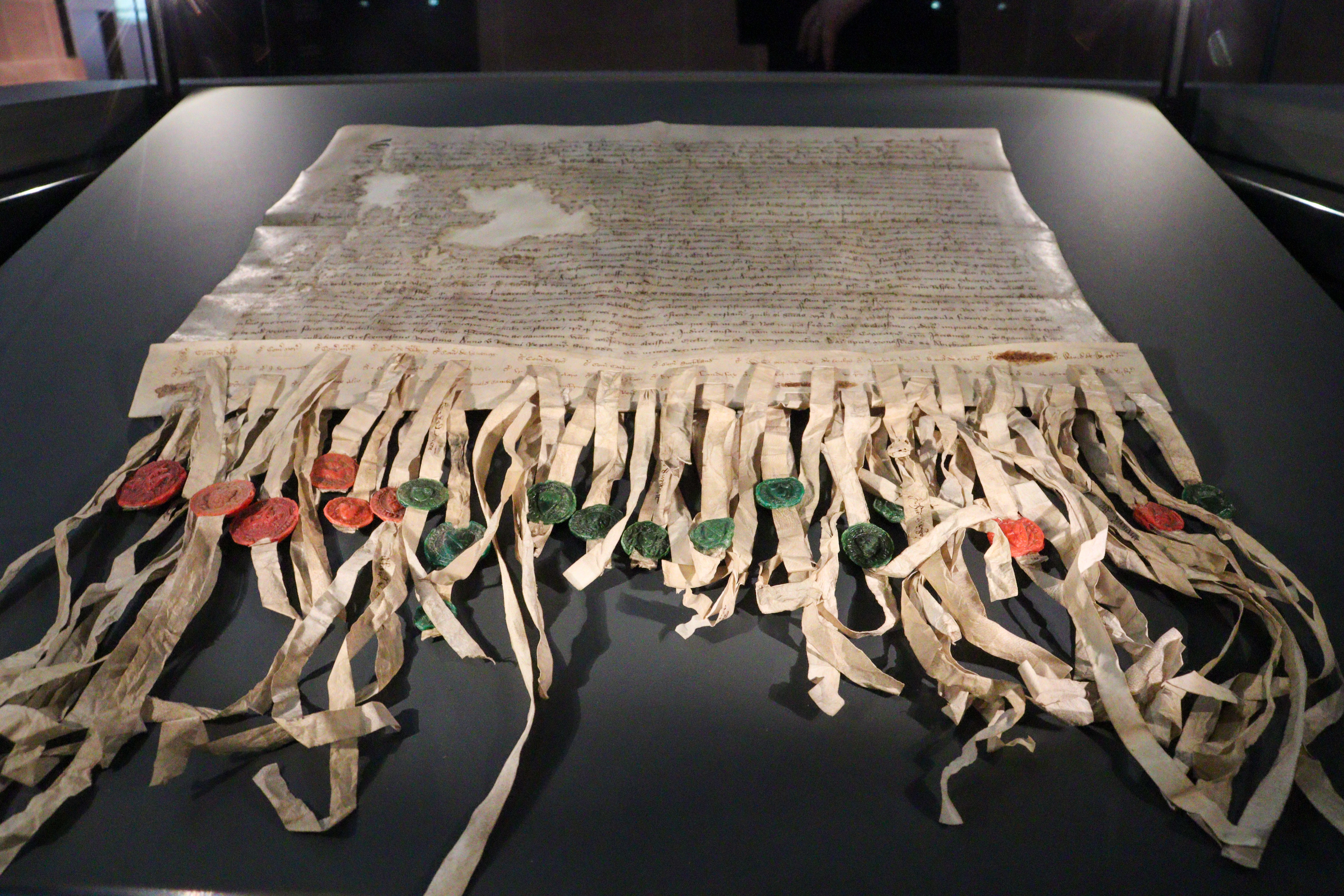 Large parchment with shredded section at the bottom and Latin writing.