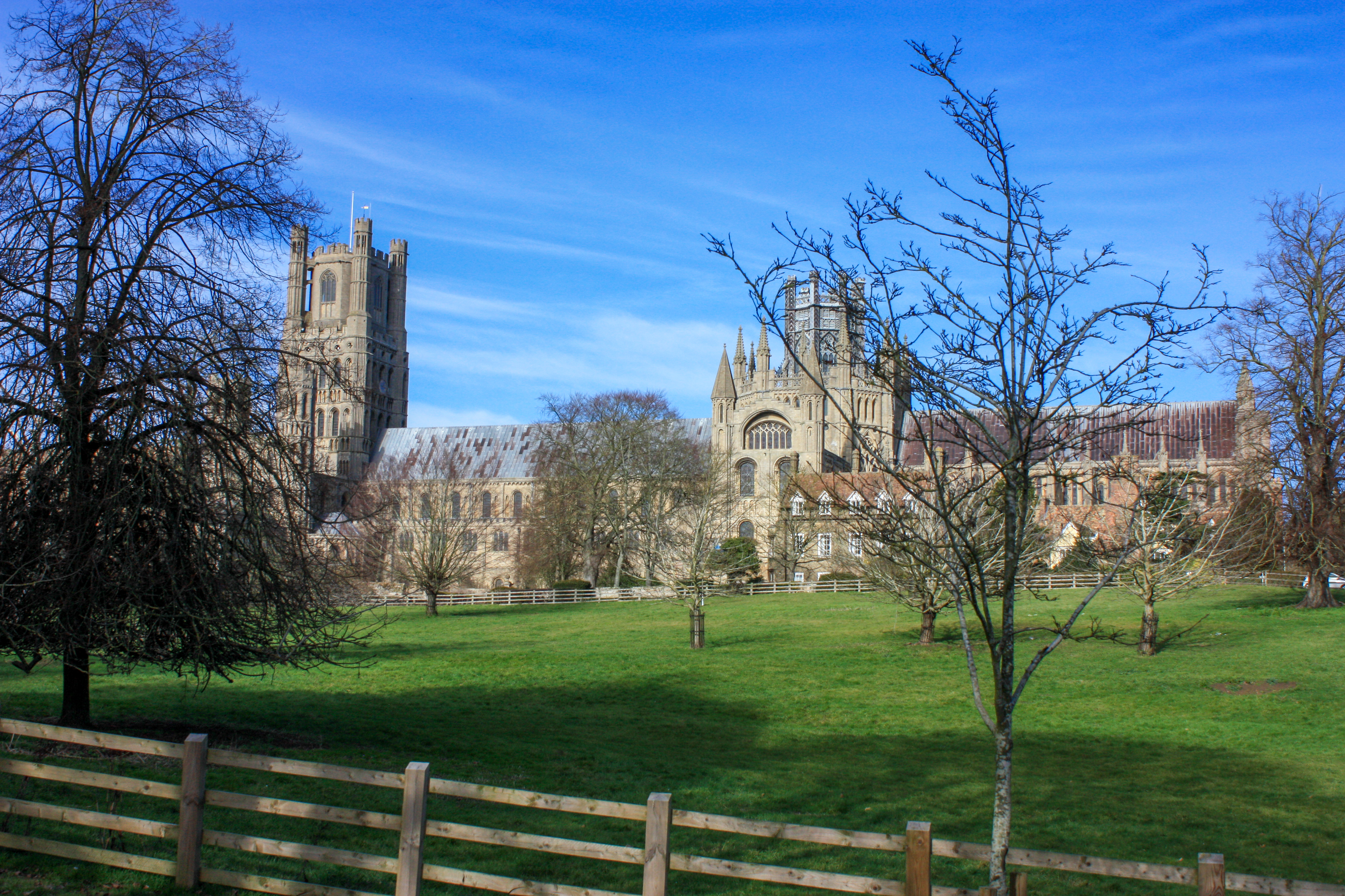 Photo of Ely Cathedral, taken across parkland.