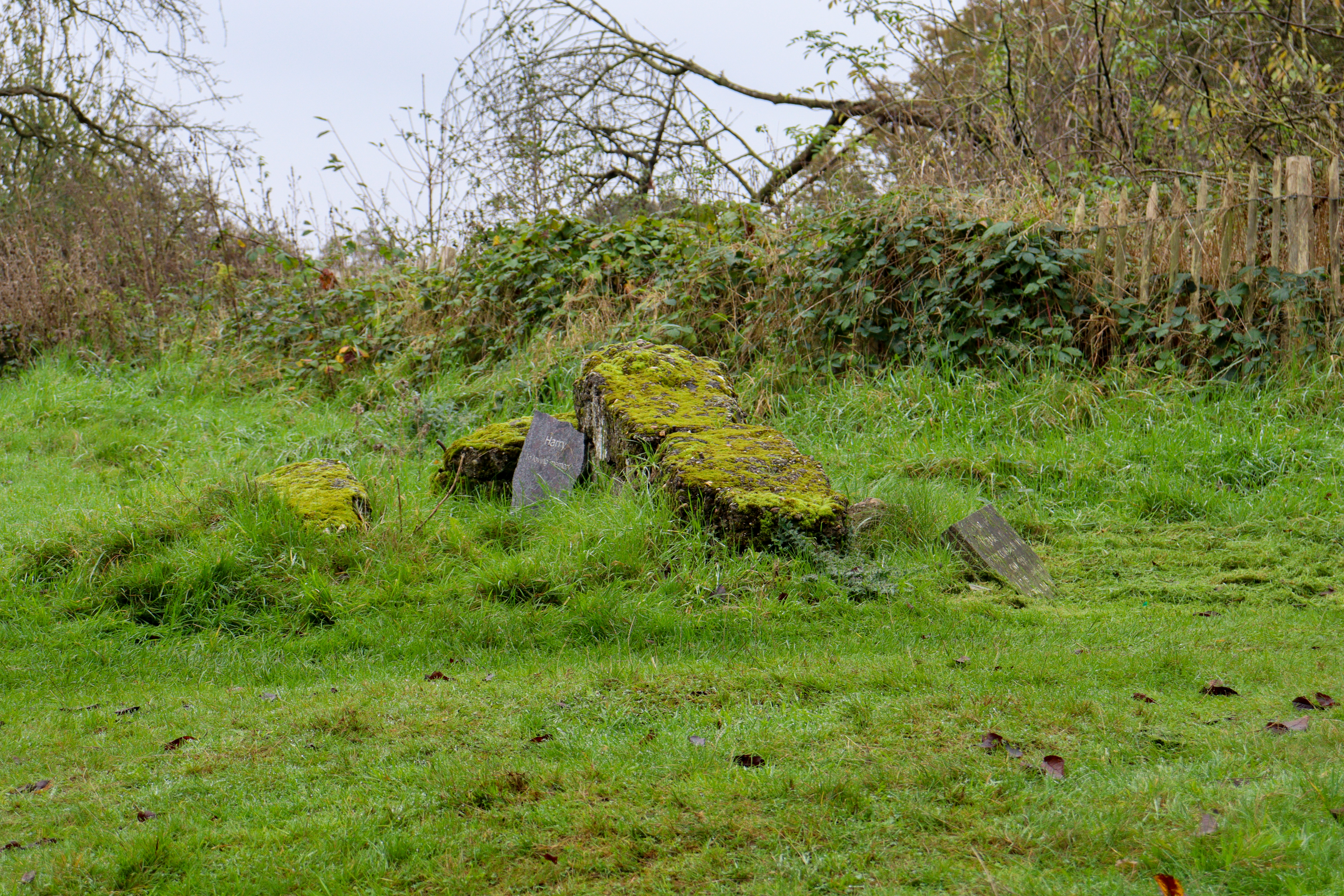 Small rough stone inscribed, Harry, in loving memory