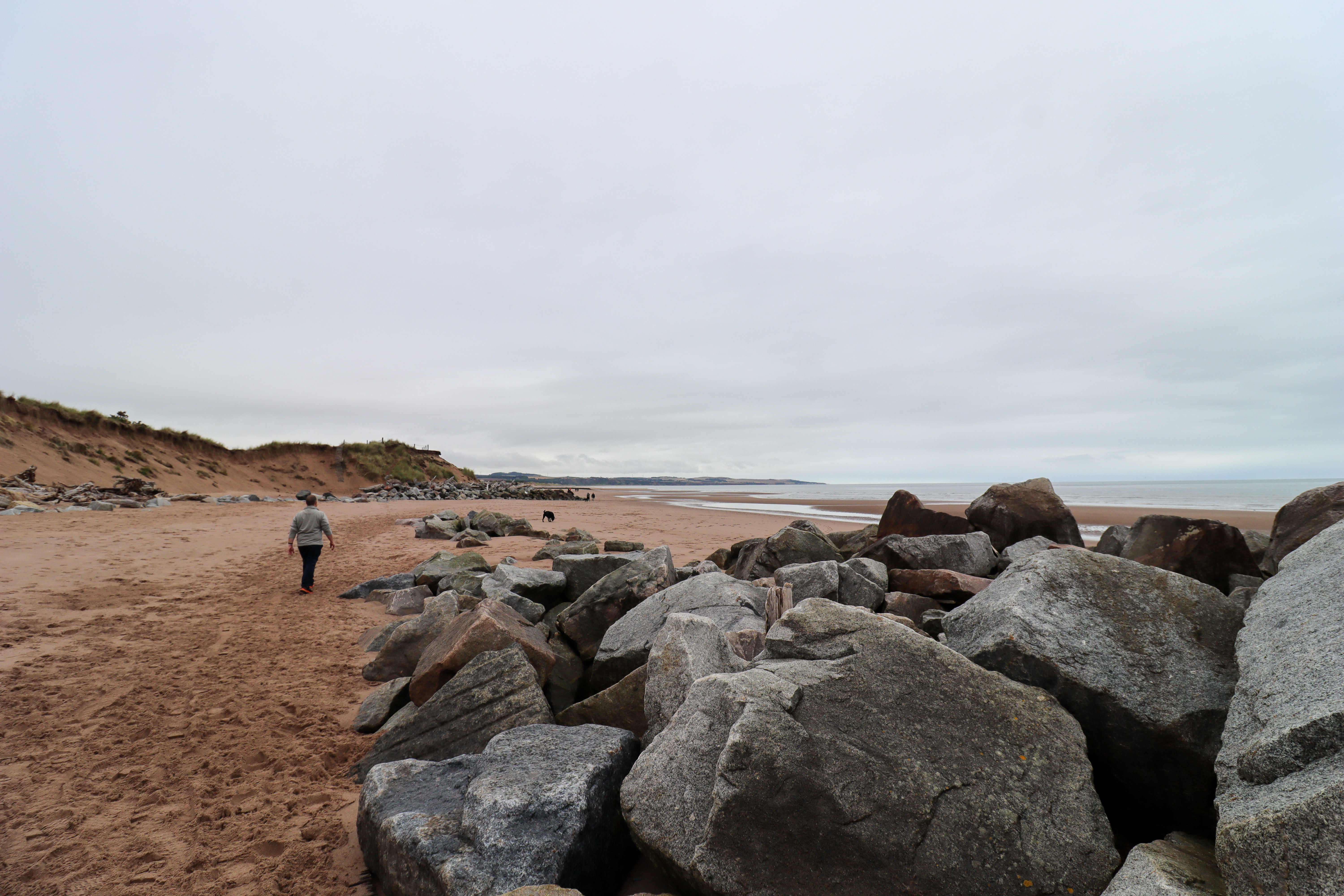 Man walking on a deserted beach with a row of boulders along the right
