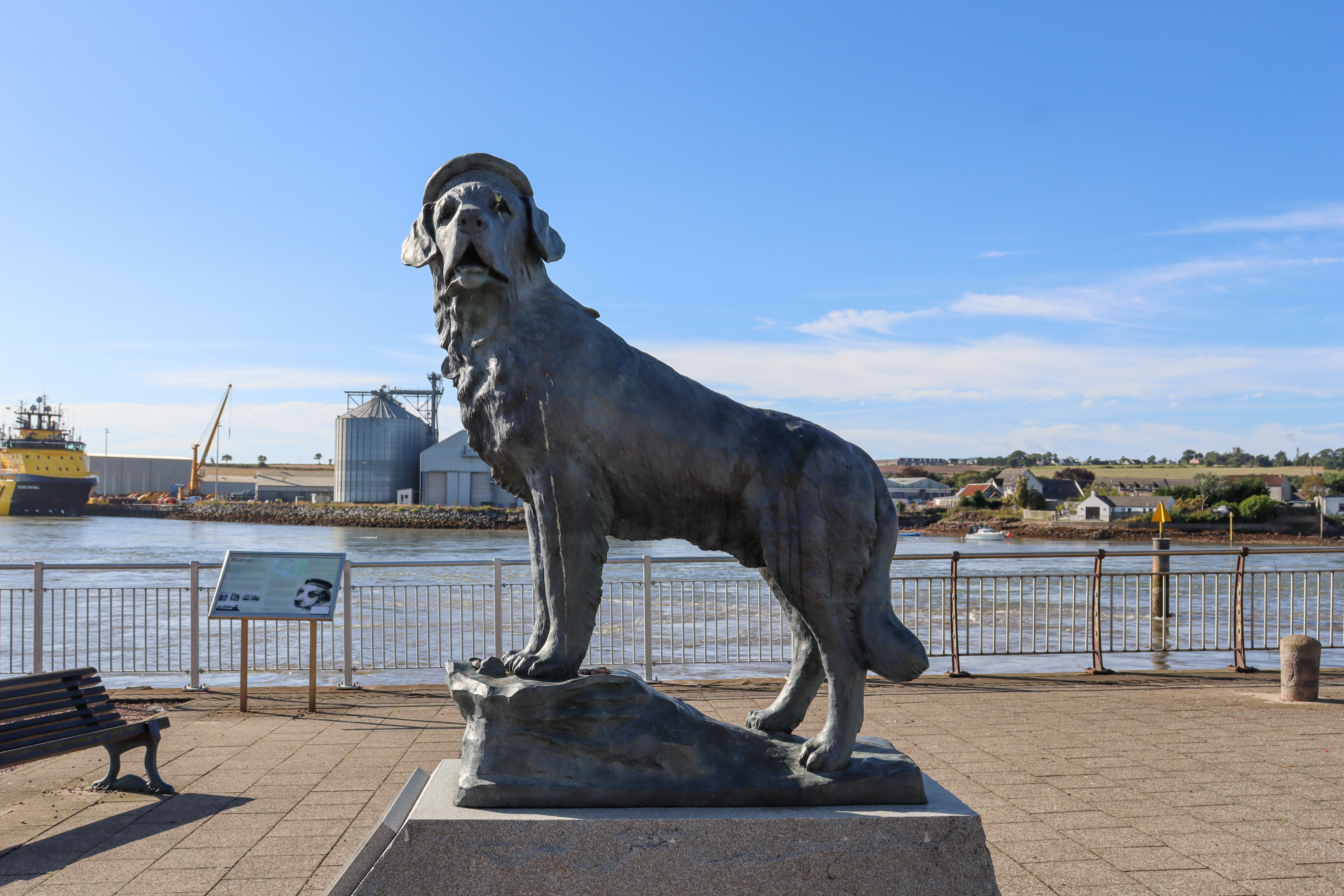 Life size statue of a St Bernard's dog wearing a beret.