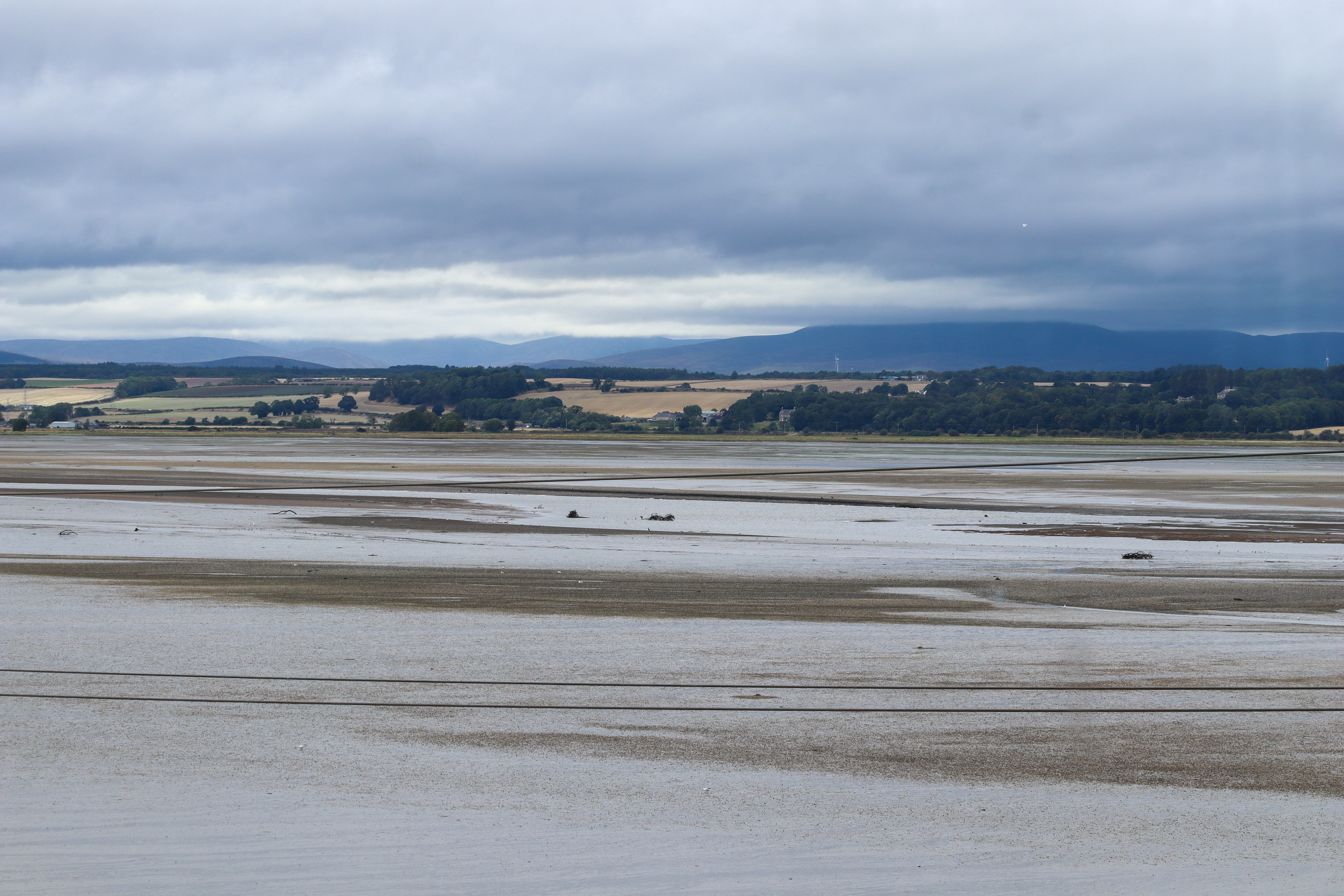 Empty basin showing mud flats with trees and mountains in the distance