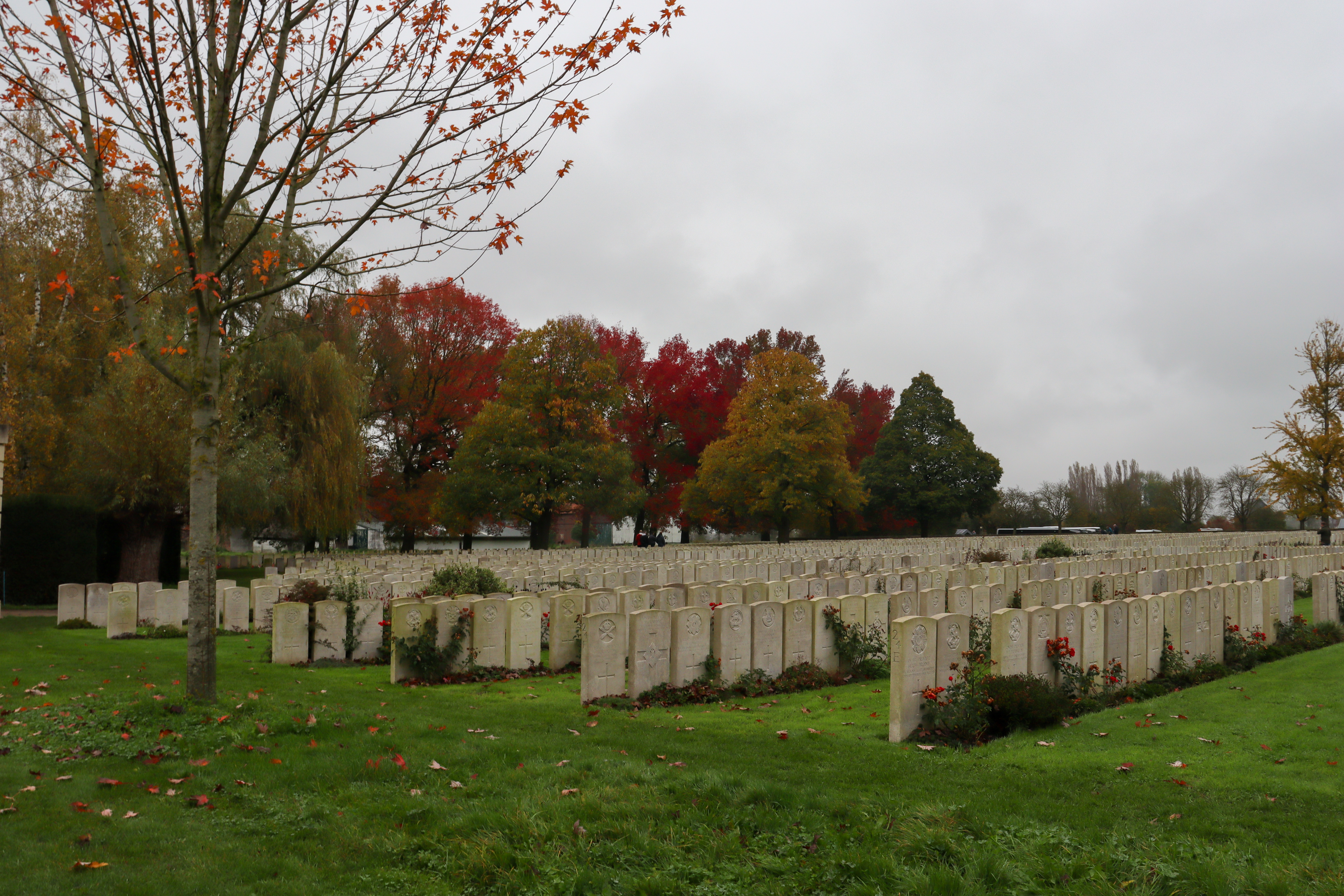 Cemetery with white gravestones in rows with no gaps between