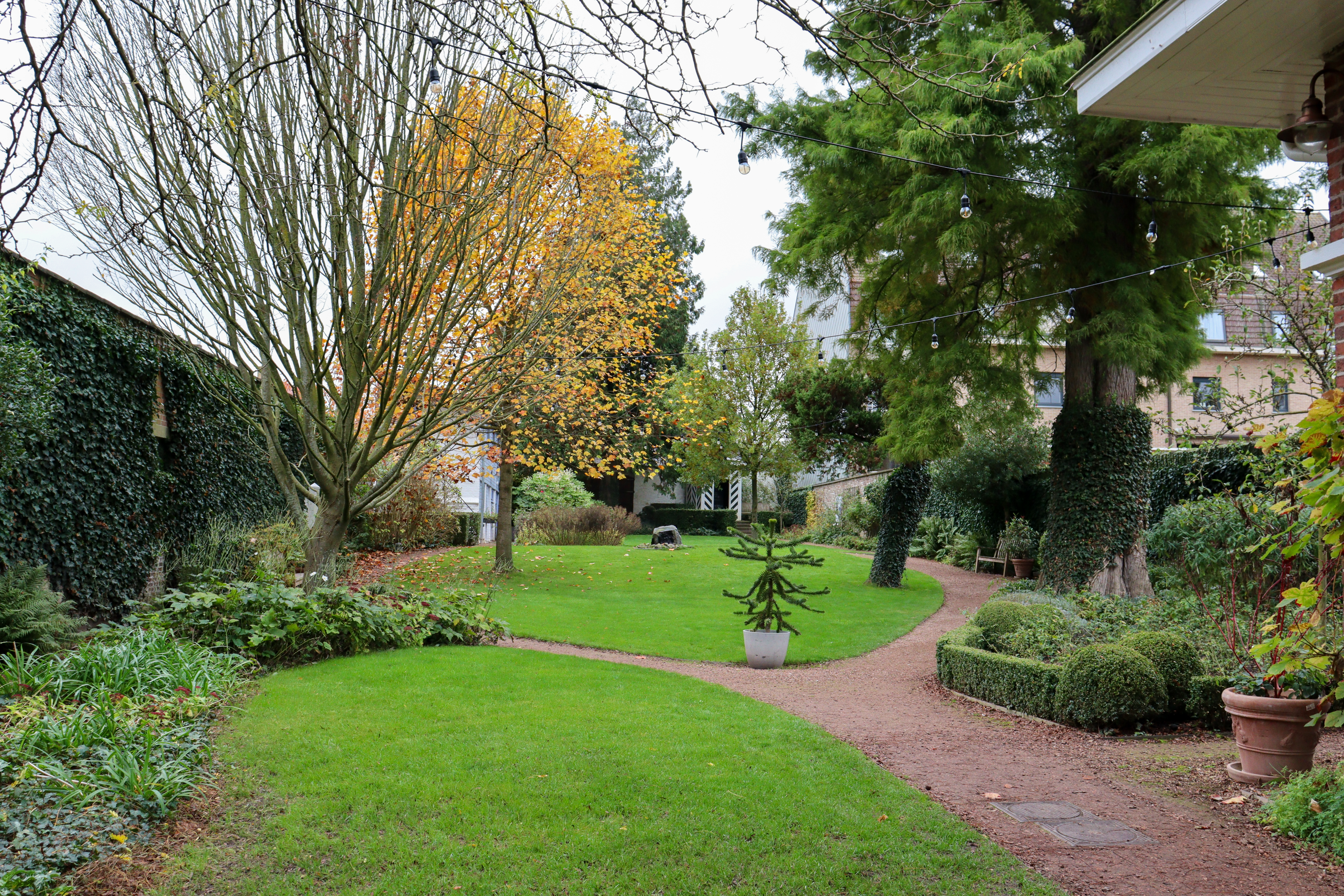 Long garden with trees, shrubs and lawns