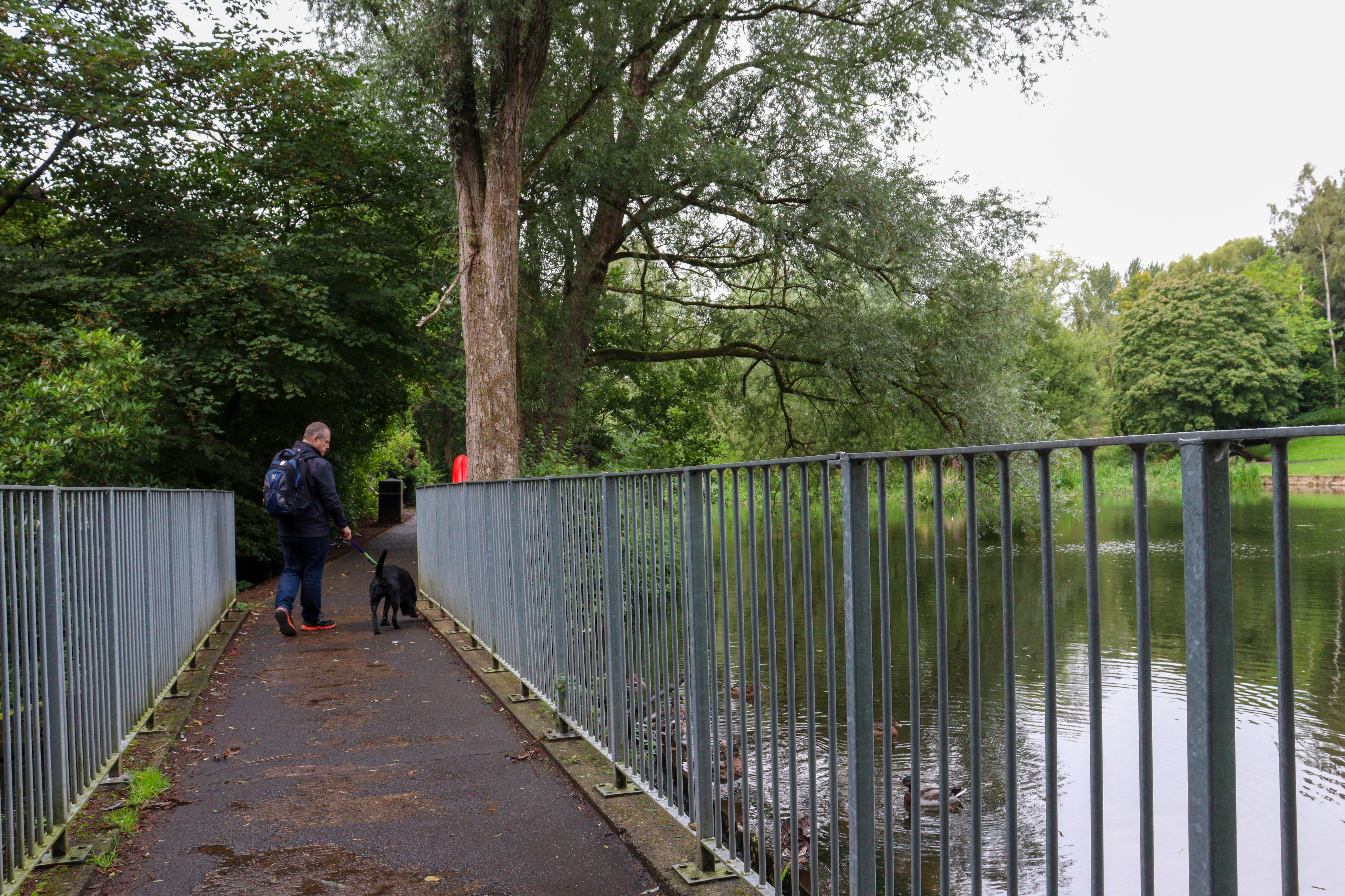 Man and black dog walking over a footbridge over a river.