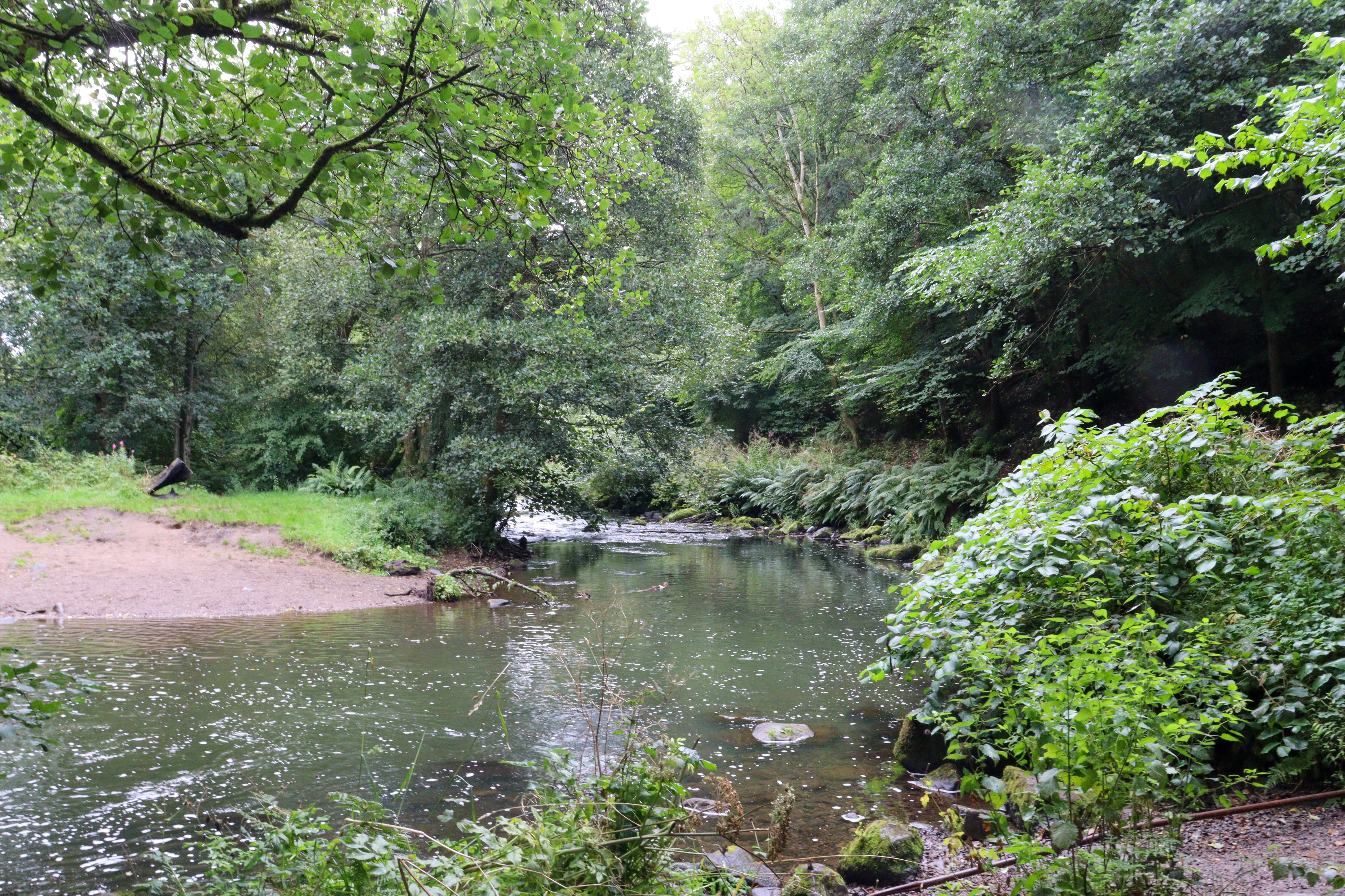 River with mudbank and woodland.