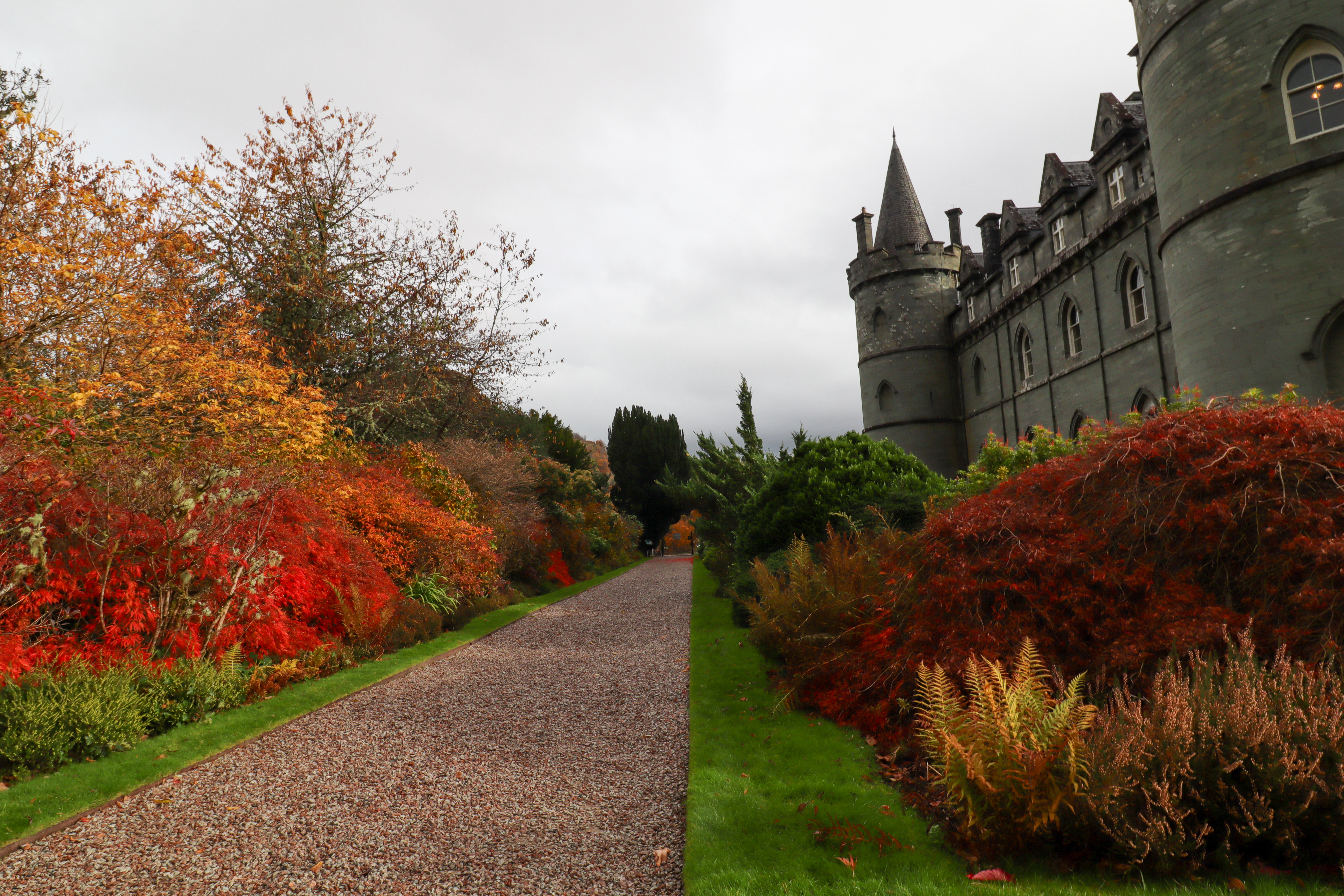 Bright red and orange trees with a castle to the right.