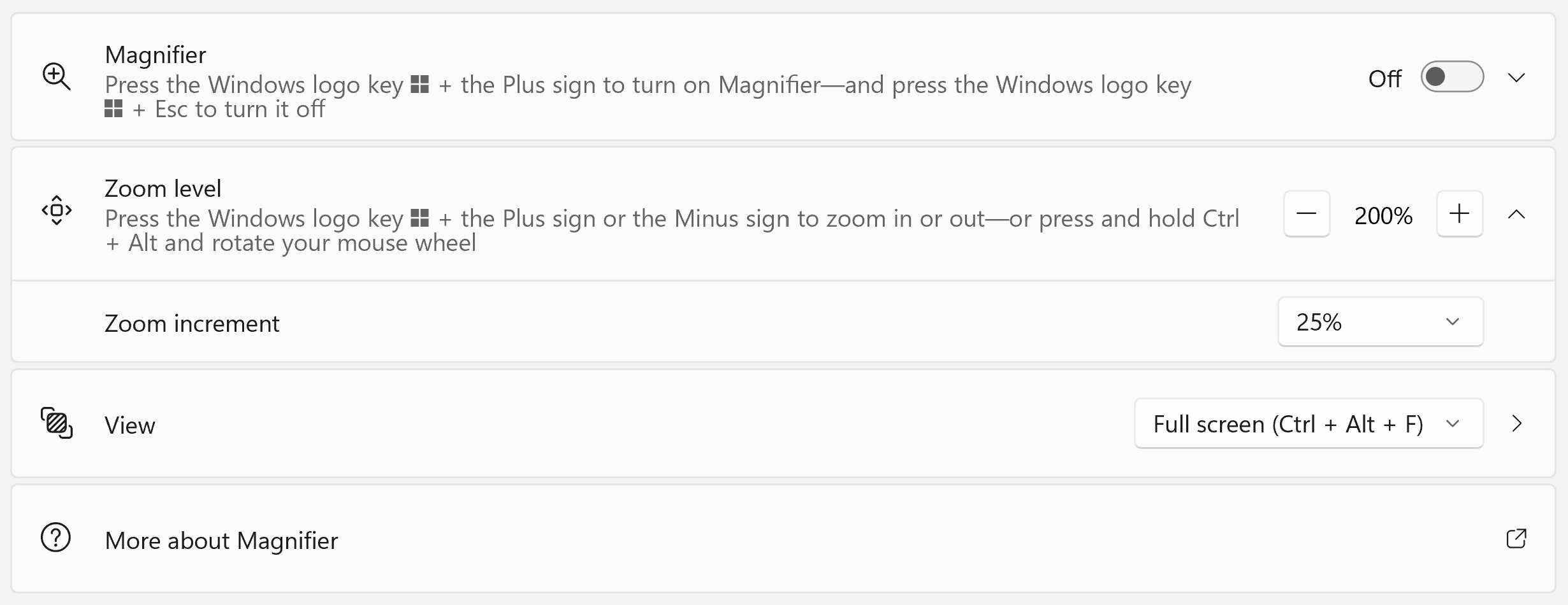 Magnifier settings showing zoom level, zoom increment and view