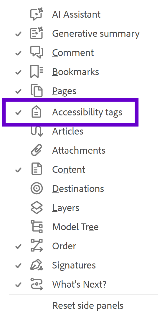 Screenshot of side panel with Accessibility Tags ticked.