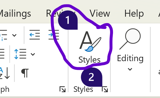 Screenshot of Styles, showing two numbered options. The first is circled.